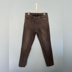 Buffalo David Bitton